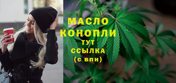 дживик Ессентукская