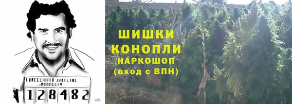 2c-b Пересвет
