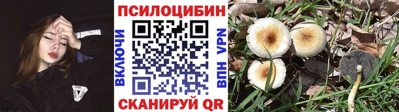 MEGA ТОР  Альметьевск  Псилоцибиновые грибы мицелий  где найти наркотики 