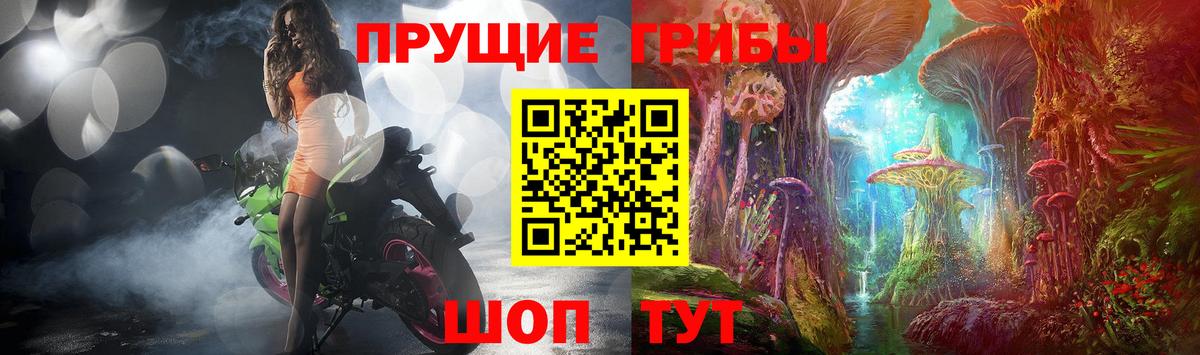 Псилоцибиновые грибы MAGIC MUSHROOMS  Псилоцибиновые грибы MAGIC MUSHROOMS  Вход с VPN  Альметьевск 