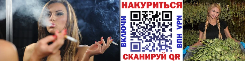 купить   Альметьевск  Канабис ГИДРОПОН 